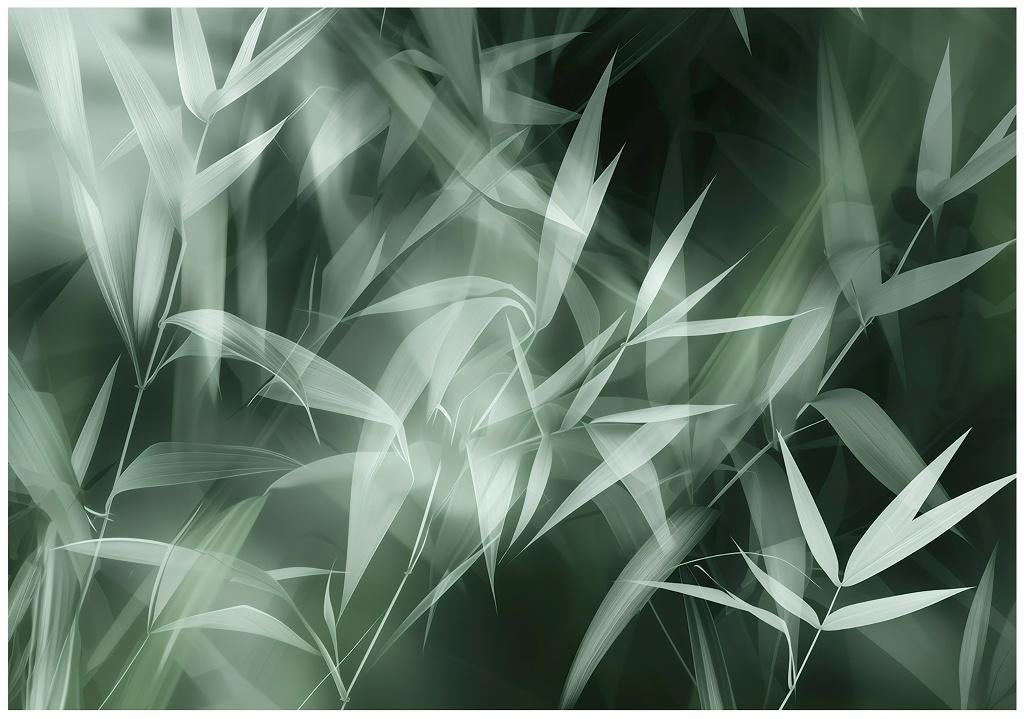 Bamboebladeren fotobehang, botanisch, bladeren, Muurdeco, Verzenden, Minder dan 10 m², Bladeren, botanisch, bamboe