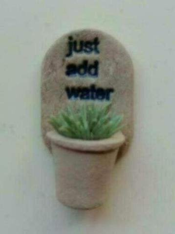 Plant in muurpot met tekst / miniatuur Fennicole, Ophalen, Nieuw, Decoratie