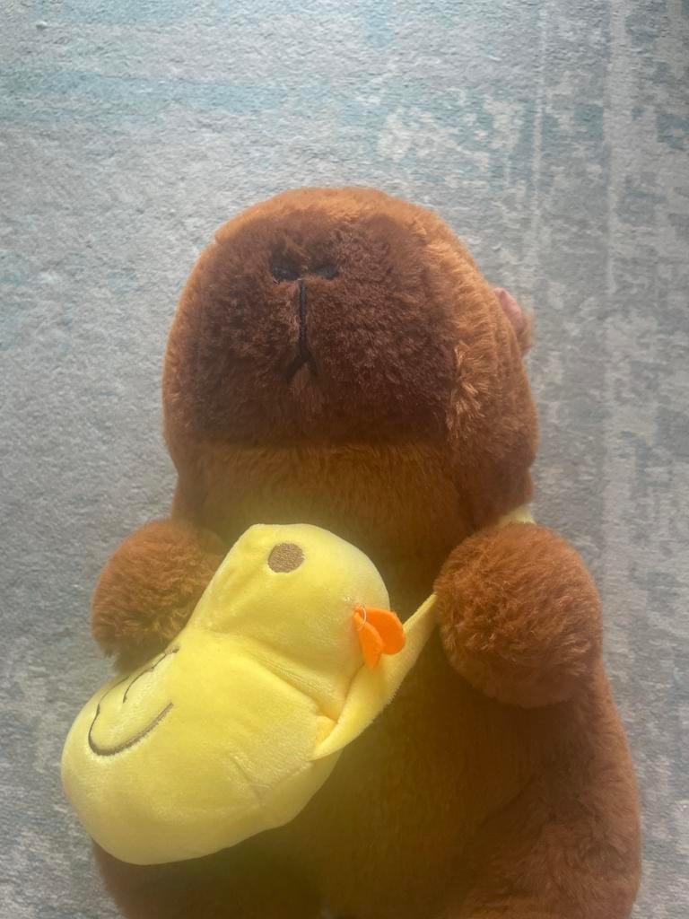 Super zachte Capybara knuffel met afneembaar eendje, Ophalen, Overige merken, Overige karakters, Overige typen