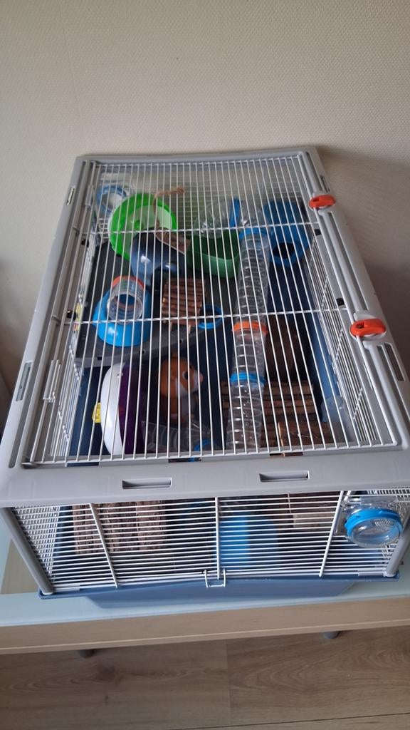 Nette hamsterkooi van Ferplast met heel veel accesoires., Minder dan 60 cm, Kooi, Minder dan 75 cm, Ophalen of Verzenden