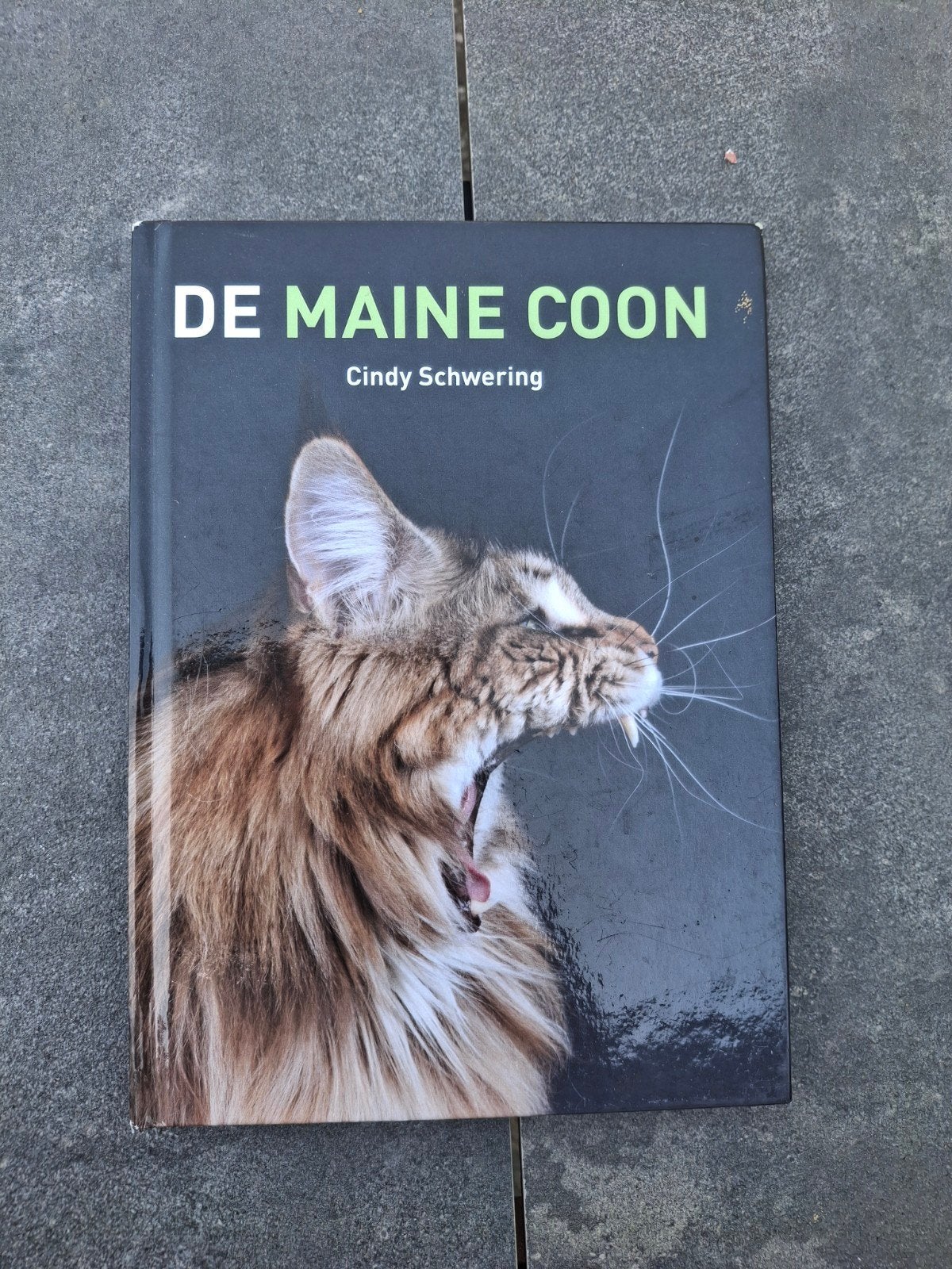De Maine Coon - Cindy Schwering (Boek), Boeken, Ophalen, Zo goed als nieuw, Katten, Cindy Schwering