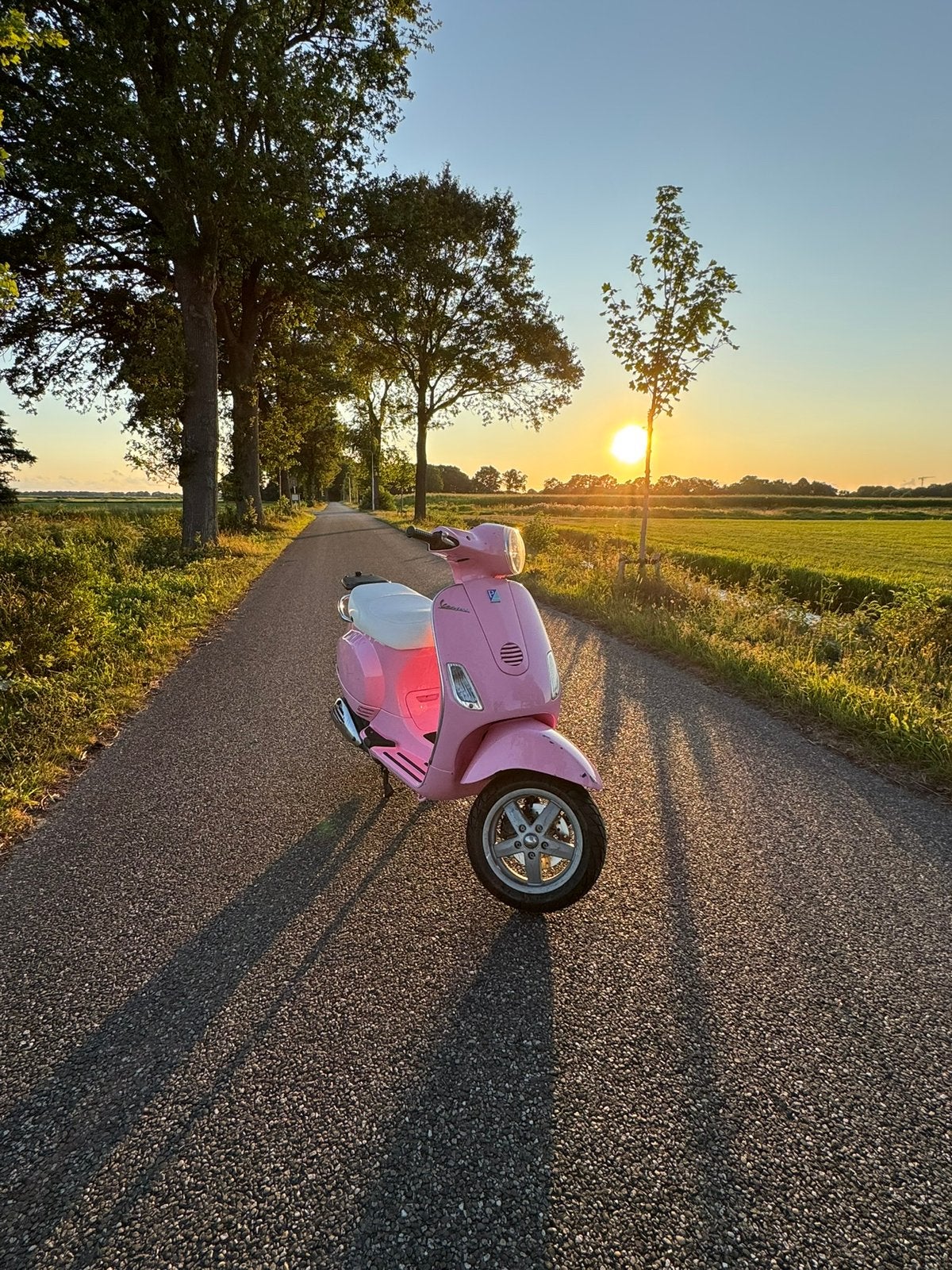 Vespa piaggio lx 50, Ophalen, Gebruikt, Overige modellen, Maximaal 45 km/u