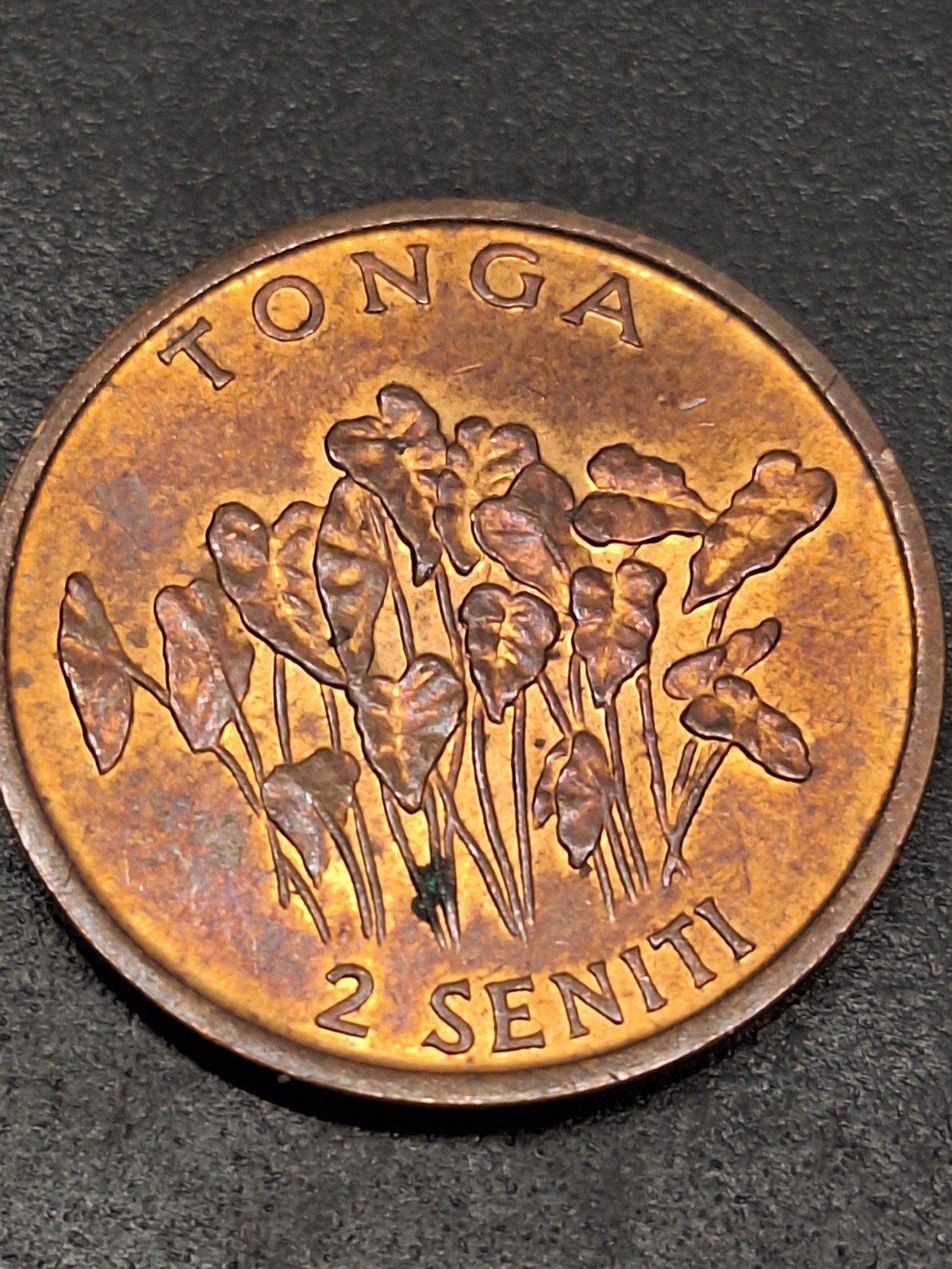 Tonga 2 seniti 1981, Postzegels en Munten, Ophalen of Verzenden