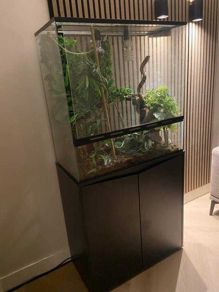 Terrarium met onderkast en veel accesoires, Ophalen, Zo goed als nieuw, Terrarium of Paludarium