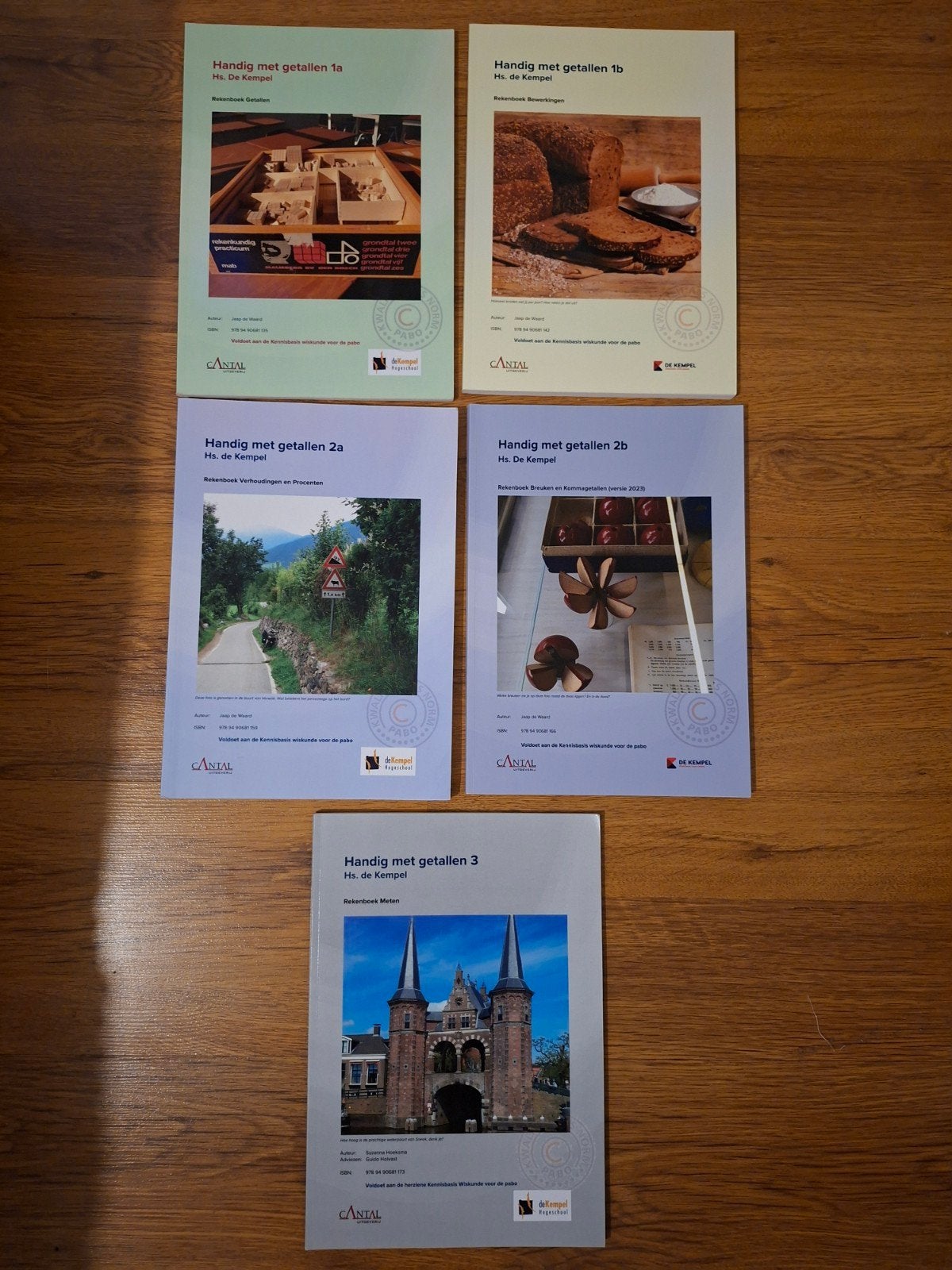 Rekenboeken Pabo Hogeschool de Kempel, Boeken, Ophalen of Verzenden, Zo goed als nieuw, HBO