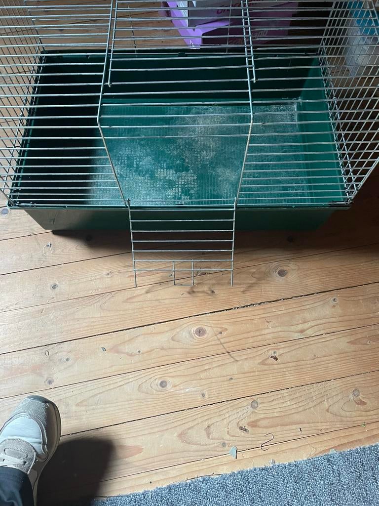Kooi, Minder dan 60 cm, Kooi, Gebruikt, Ophalen of Verzenden