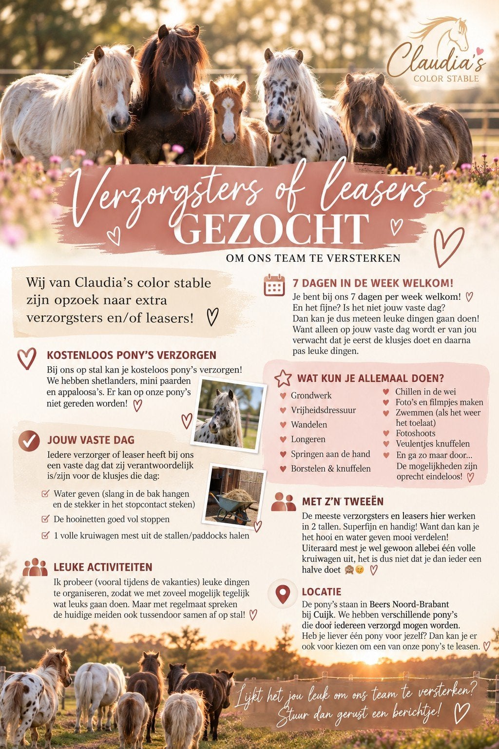 verzorgsters / leasers gezocht verzorgpony's aangb. Beers, Ophalen