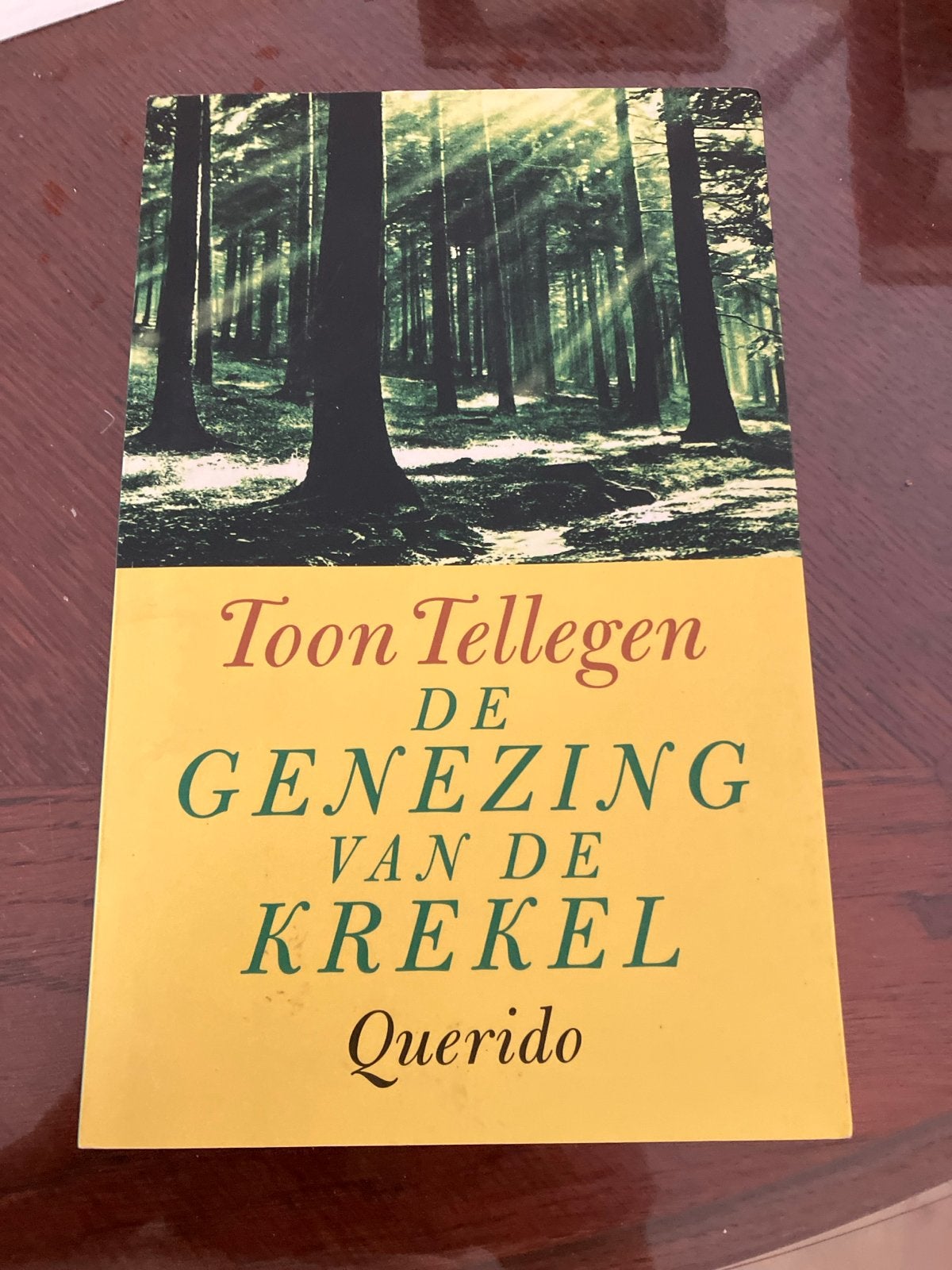 De Genezing van de Krekel - Toon Tellegen (Querido), Ophalen of Verzenden, Zo goed als nieuw