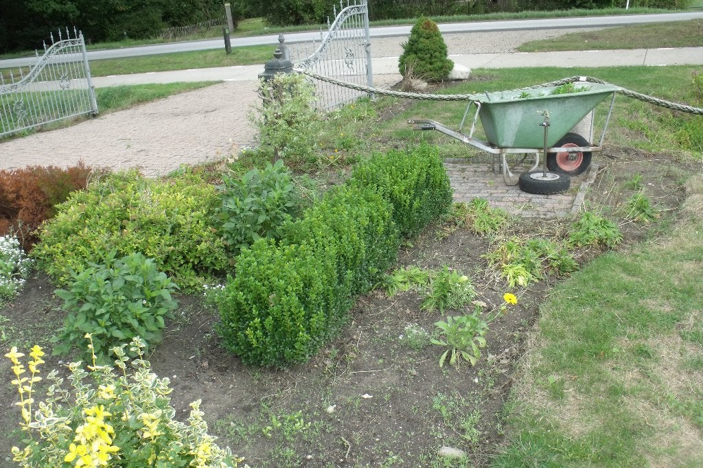 buxus, Ophalen of Verzenden, Zo goed als nieuw, Overige materialen