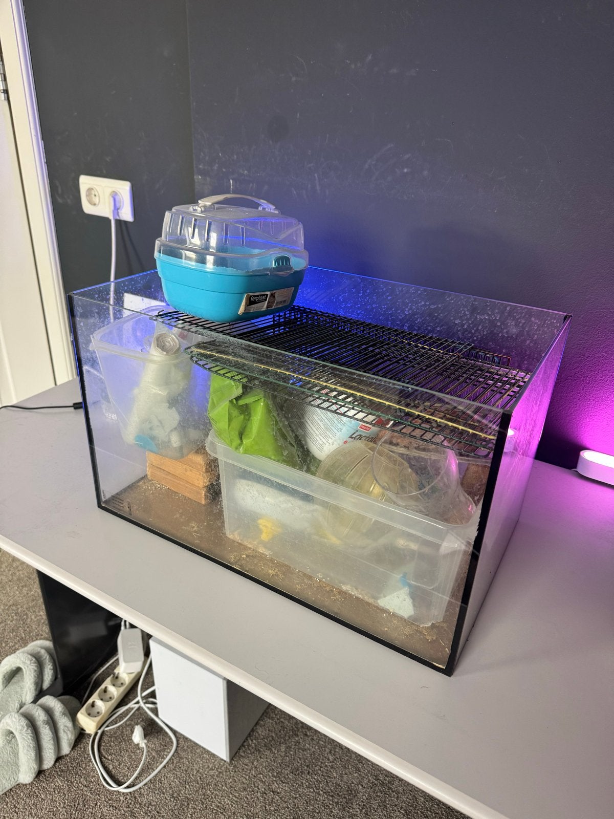 Terrarium voor  kleine knaagdieren, Dieren en Toebehoren, Ophalen