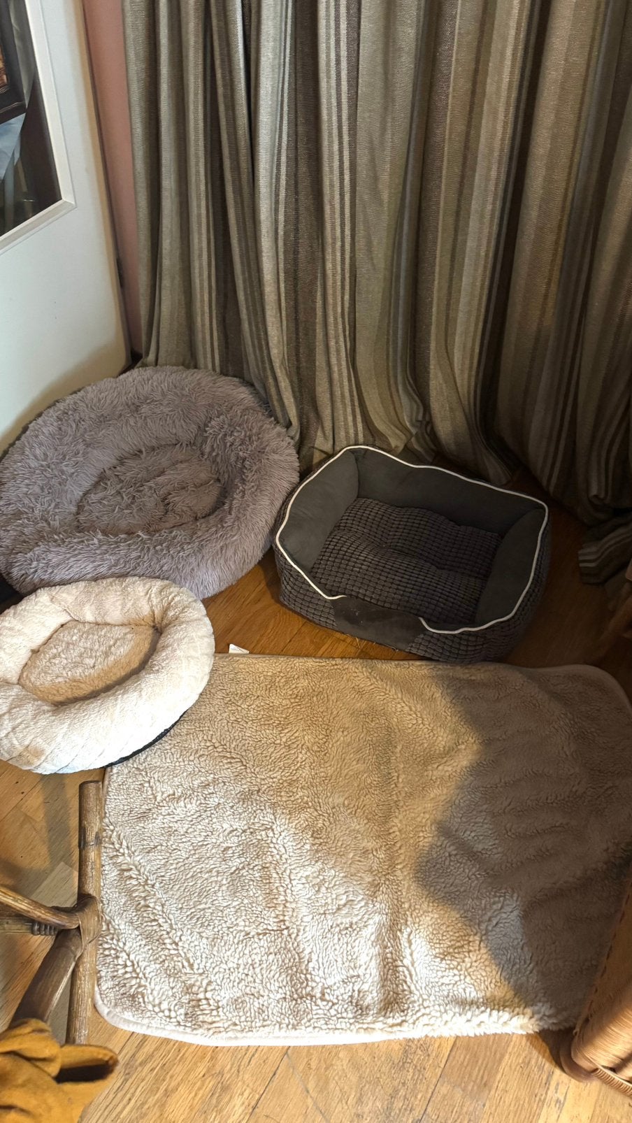 Honden manden kleed gebruikt  ( grote ronde  ) en nieuw, Ophalen of Verzenden