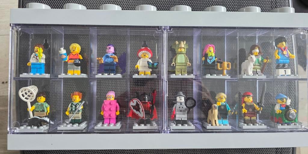 Lego Minifiguren Serie 25 - Complete Set van 12 Poppetjes, Ophalen of Verzenden, Nieuw
