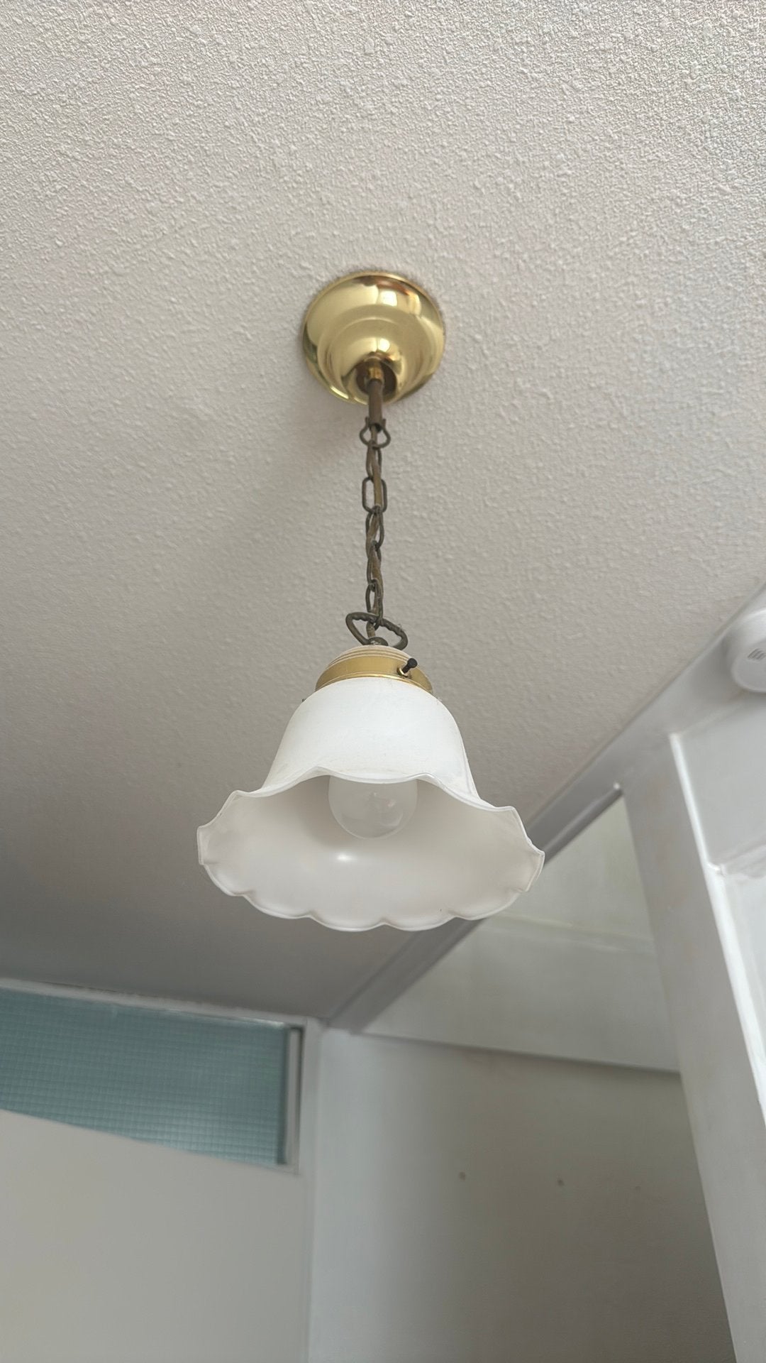 Bloemen hanglamp, Ophalen, Zo goed als nieuw