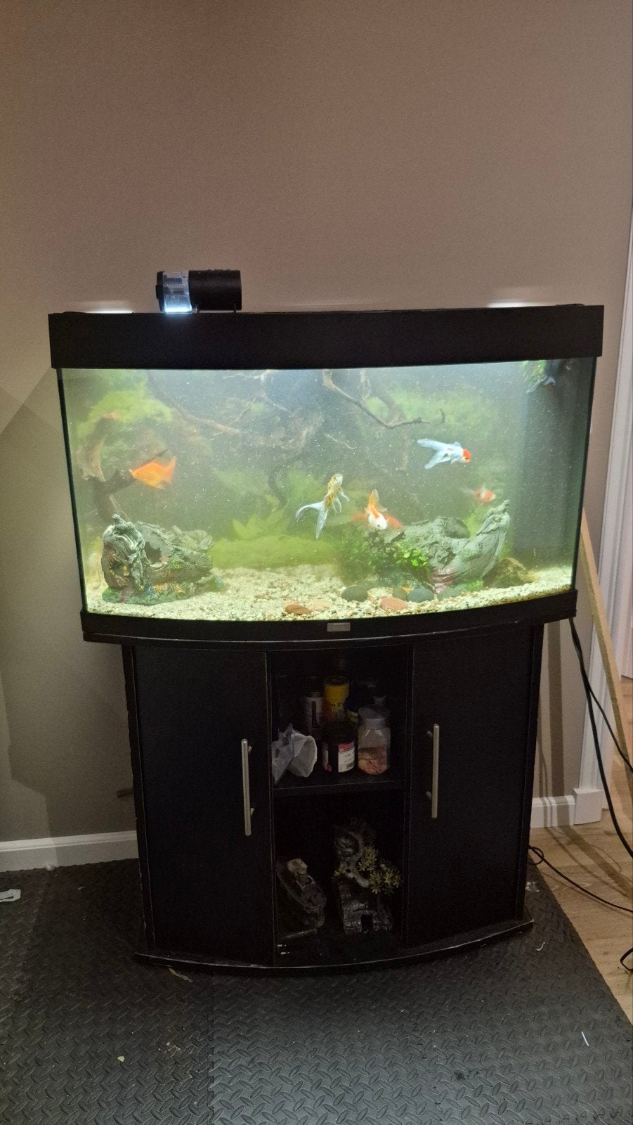 juwel vision 180, 180 liter aquarium leeg, Ophalen, Gebruikt, Leeg aquarium, Juwel