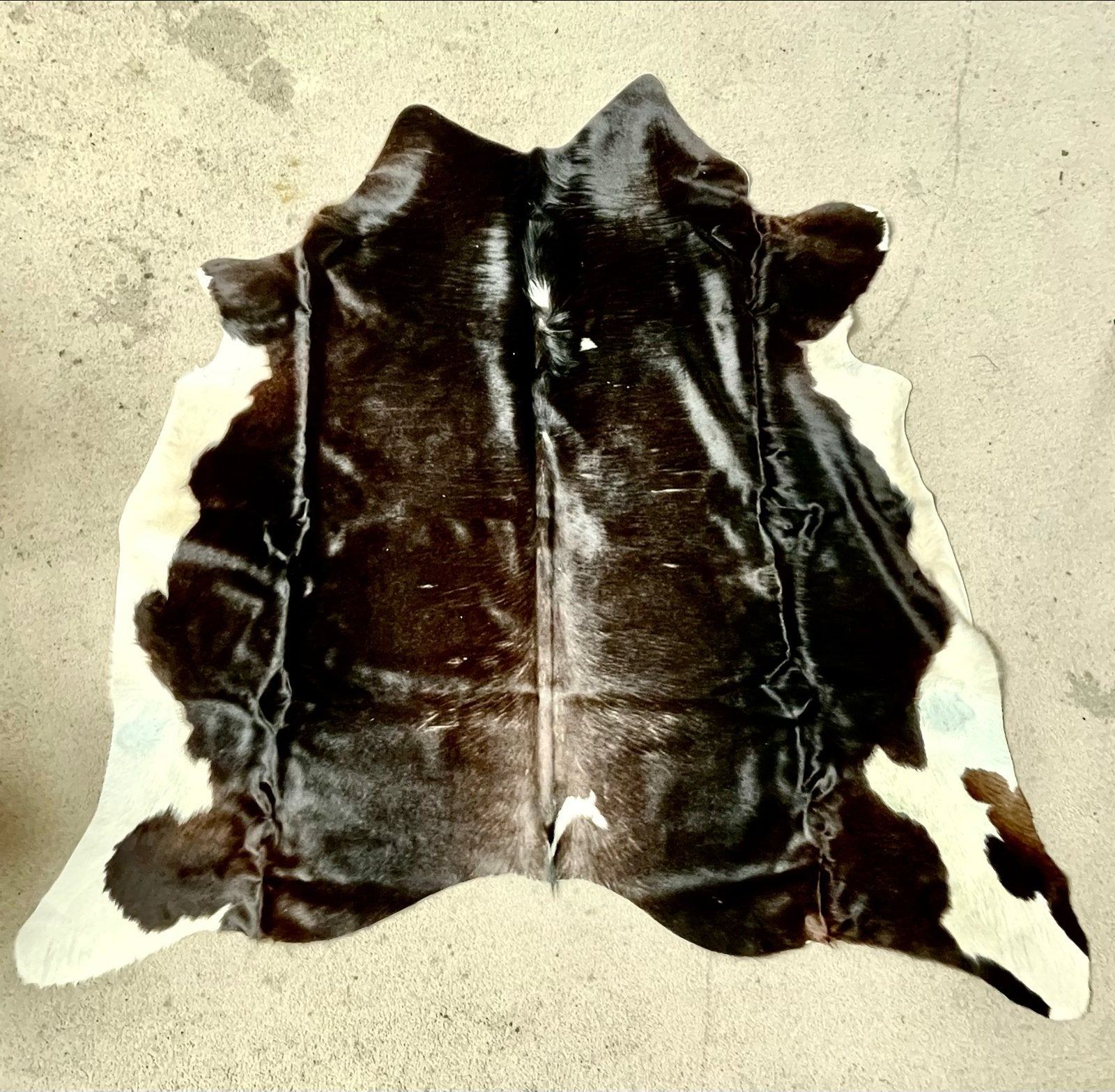 Prachtig zwart-wit koeienvel - Natuurlijk en uniek, Ophalen, Gebruikt, 100 tot 150 cm, Zwart