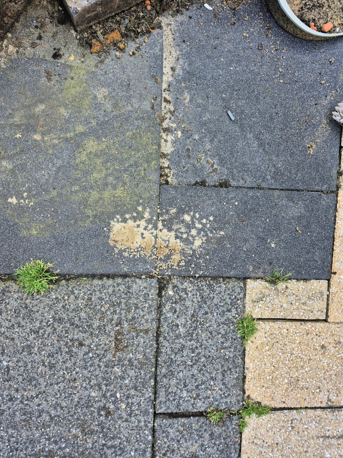 Gebruikte terrastegels van beton, Ophalen, Gebruikt, Beton, Terrastegels