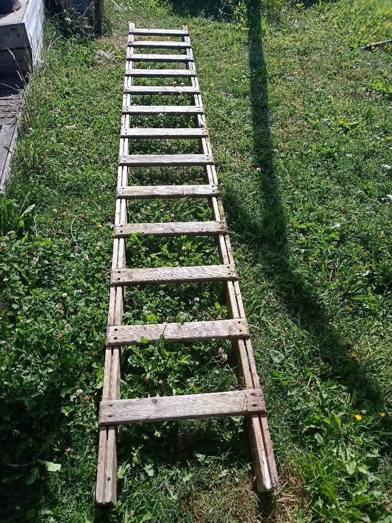 Houten ladder, Doe-het-zelf en Verbouw, Ladders en Trappen, Ophalen, Gebruikt, Ladder, 2 tot 4 meter