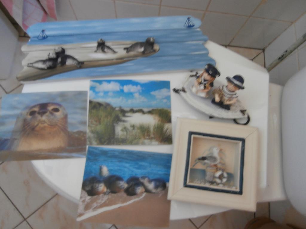 3d ansichtkaart wandbord zeehonden en zee zeeman poppetje, Gebruikt, Mediterraans, Ophalen of Verzenden, Blauw