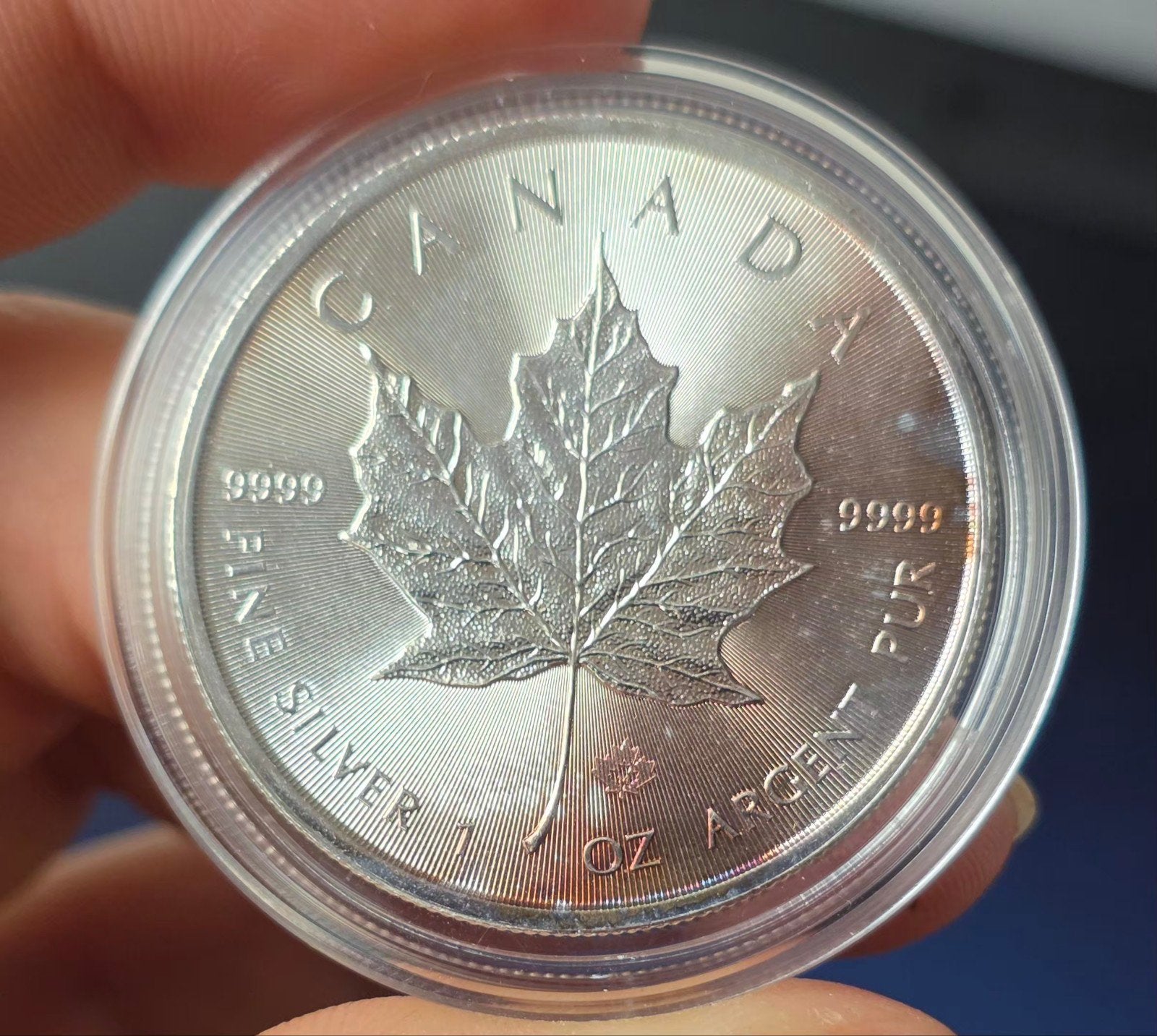 1oz Maple leaf 2014 Canada, Verzenden, Zilver