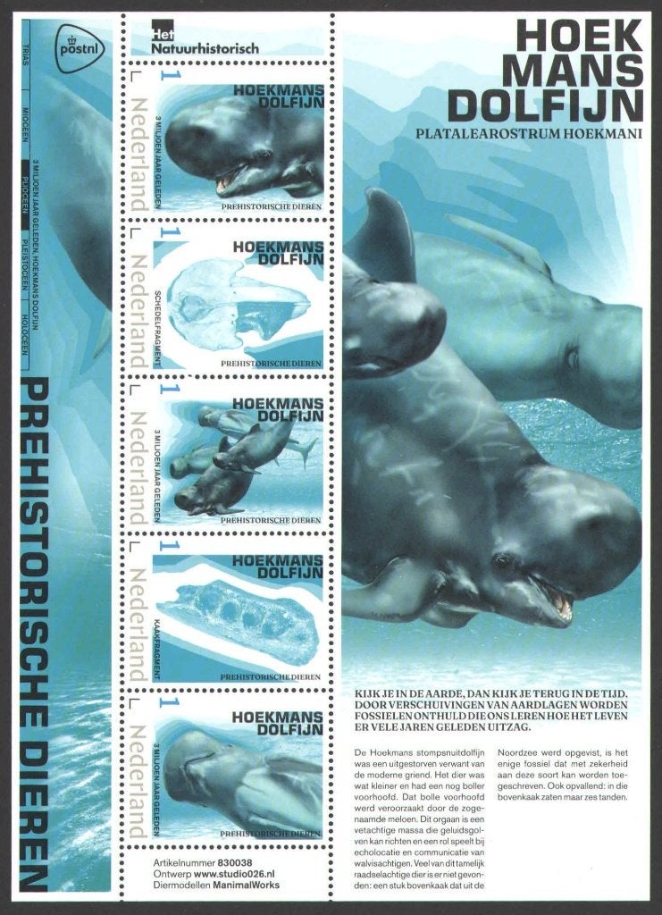 Postzegels Prehistorische dieren: Hoekmansdolfijn, Ophalen of Verzenden, Na 1940, Postfris