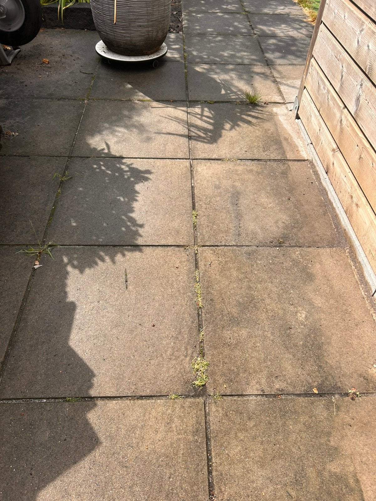 Betontegels 50x50x5 ongeveer 36m2 GRATIS, Ophalen, Zo goed als nieuw, Beton, Terrastegels
