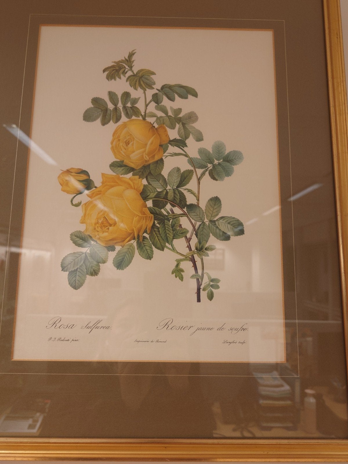 Rozen prenten, Bloemen, Achter glas, Ophalen of Verzenden, Klassiek