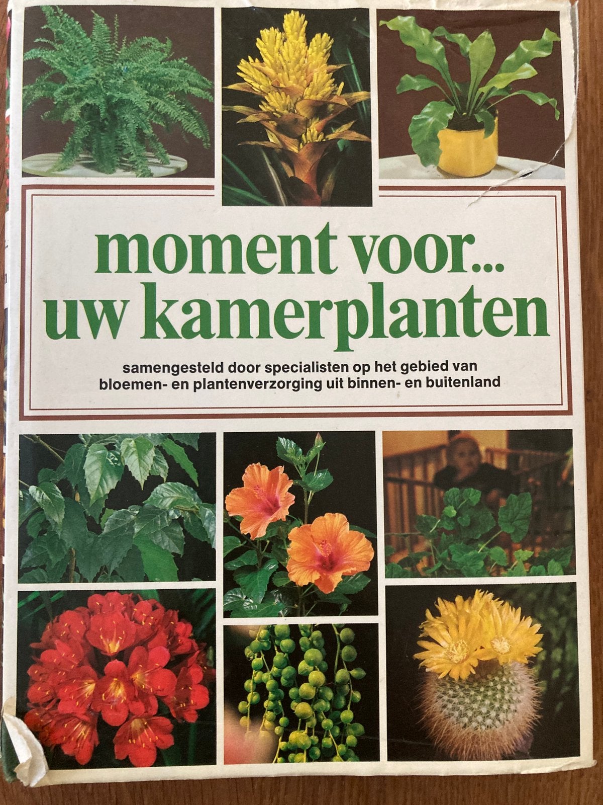 Moment voor uw kamerplanten, Ophalen of Verzenden, Gelezen, Kamerplanten