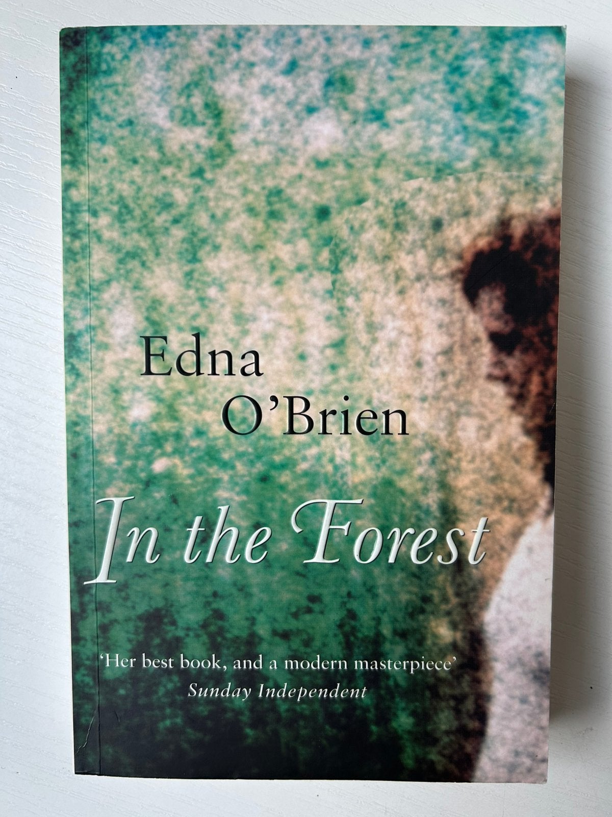 Edna O’Brien In the Forest, Ophalen of Verzenden, Gelezen