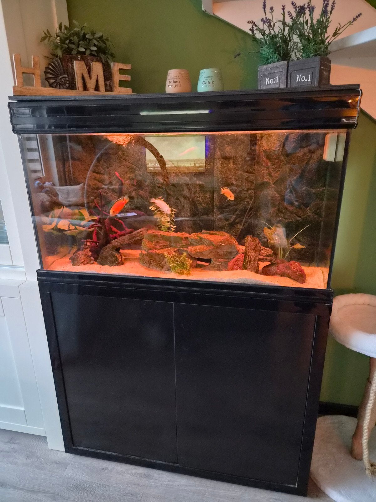 mooi aqaurium compleet met chicledes vissen, Ophalen, Gebruikt, Inclusief vissen, Aquatlantis