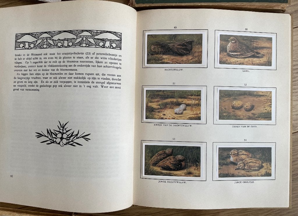 Verkade albums, Ophalen of Verzenden, Gelezen, Jac. P. Thijsse, Plaatjesalbum