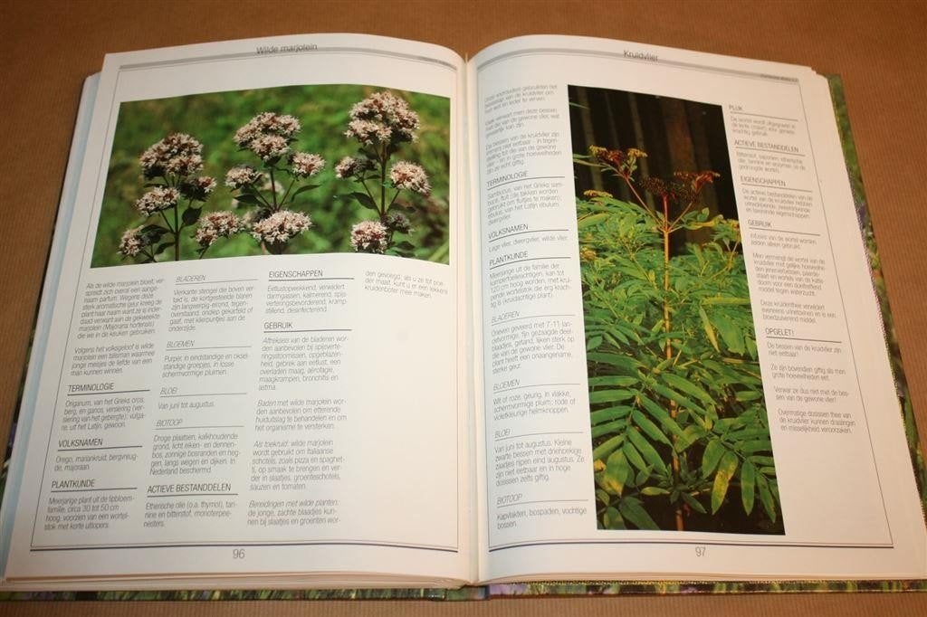 Genezende Planten — Geneeskruiden en Uitklapplaten, Ophalen of Verzenden, Gelezen, Overige onderwerpen, Achtergrond en Informatie