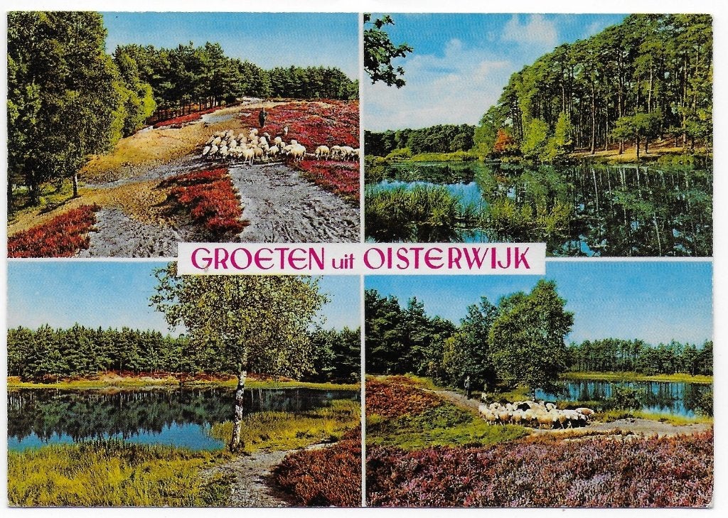 Oisterwijk Gelopen Ansichtkaart ( B6146 ), Ophalen of Verzenden, 1980 tot heden, Gelopen, Noord-Brabant