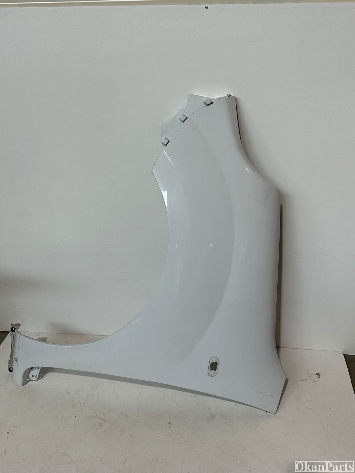 Renault Kangoo II linker zijscherm links 631015870R