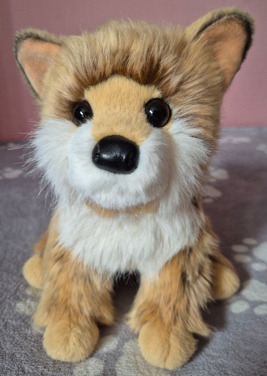 douglas cuddle toys dove pomsky hond knuffel ESSA NIEUW, Overige merken, Overige karakters, Middelgroot (20 tot 80 cm), Bruin