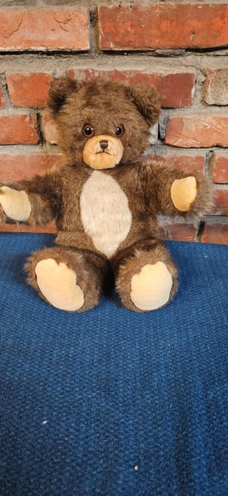 Oude teddybeer 24 cm met jurkje, Gebruikt, Beer, Ophalen of Verzenden, Middelgroot (20 tot 80 cm)