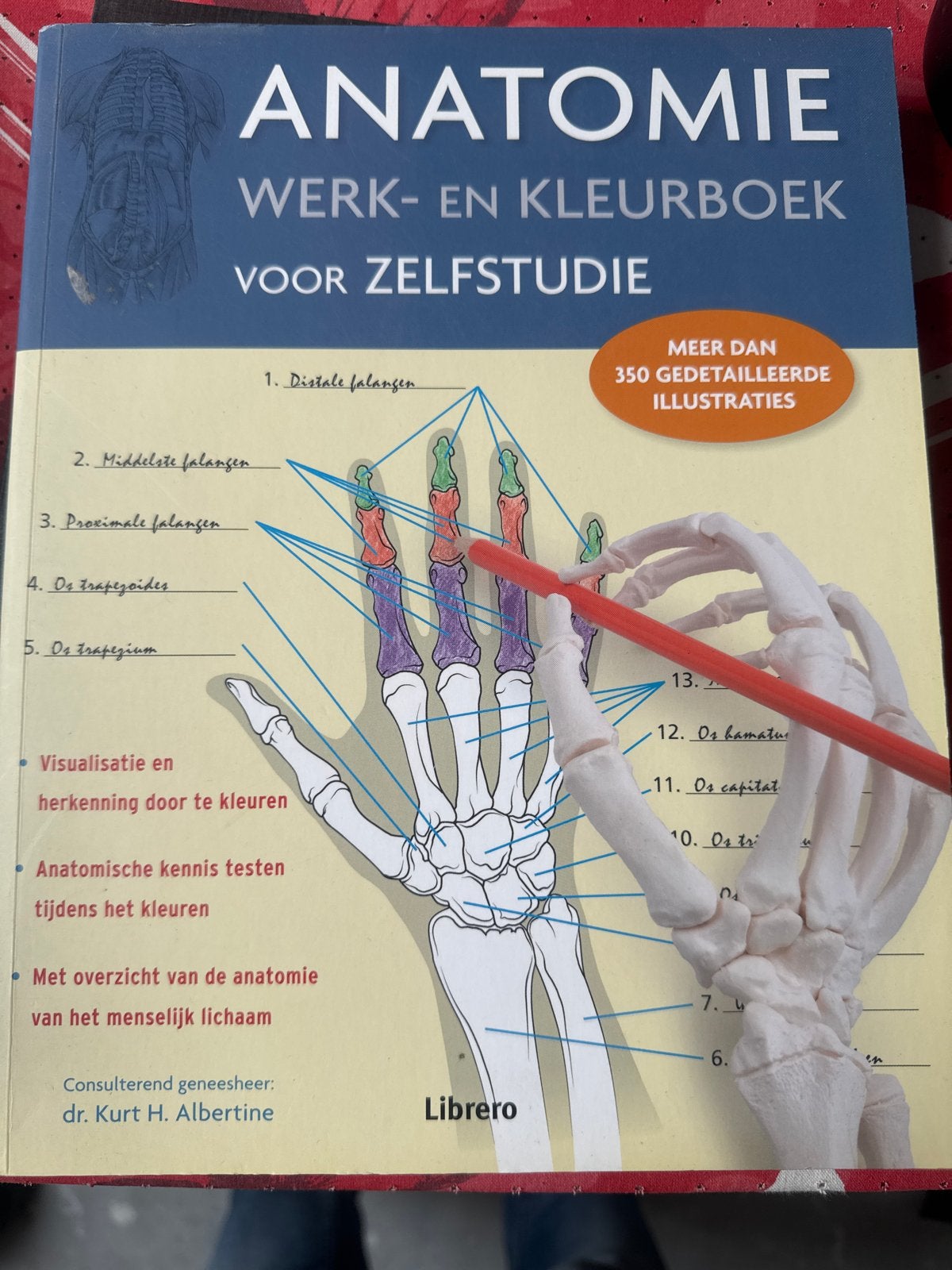 Anatomie Werk- en Kleurboek voor Zelfstudie, Boeken, Ophalen of Verzenden, Beta, Nieuw, HBO