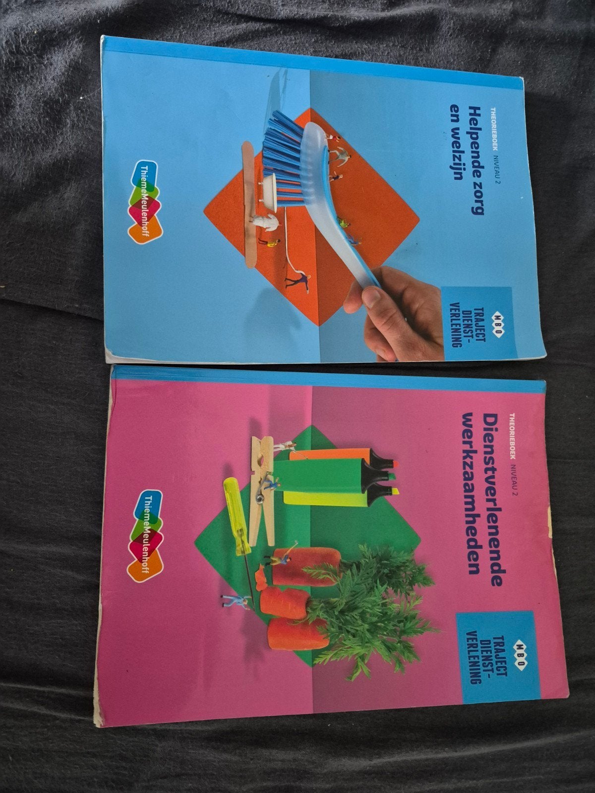 2 boeken Helpende Zorg en Welzijn & Dienstverlening, Ophalen, Overige niveaus