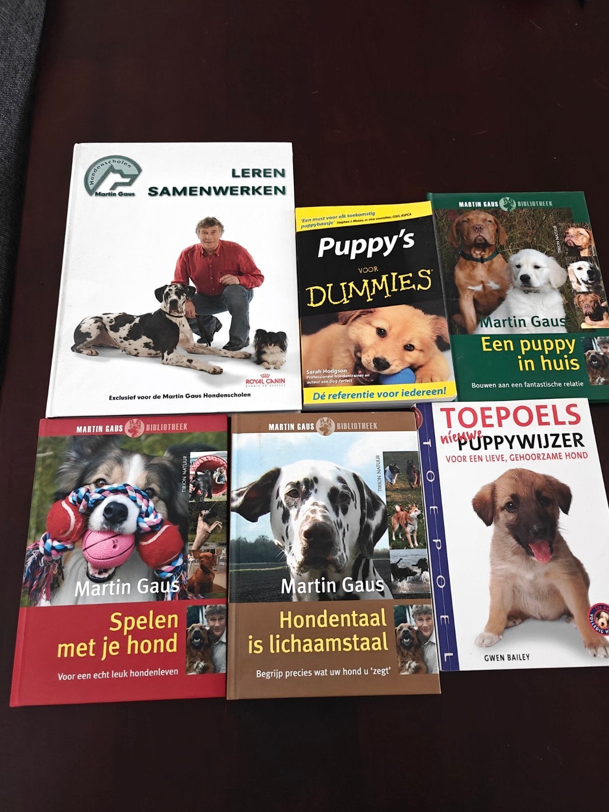 Hondenboeken - Martin Gaus, Puppy's for Dummies, Puppywijzer, Boeken, Ophalen of Verzenden