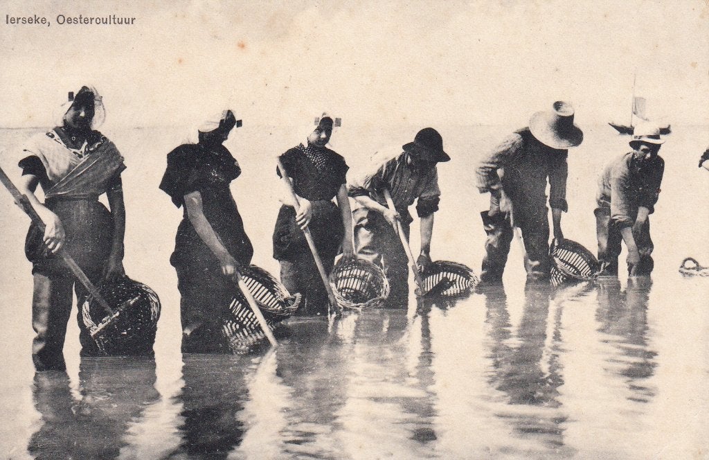 Yerseke   -   Oestercultuur                    =0007=, Verzamelen, Ophalen of Verzenden, Voor 1920, Ongelopen, Zeeland