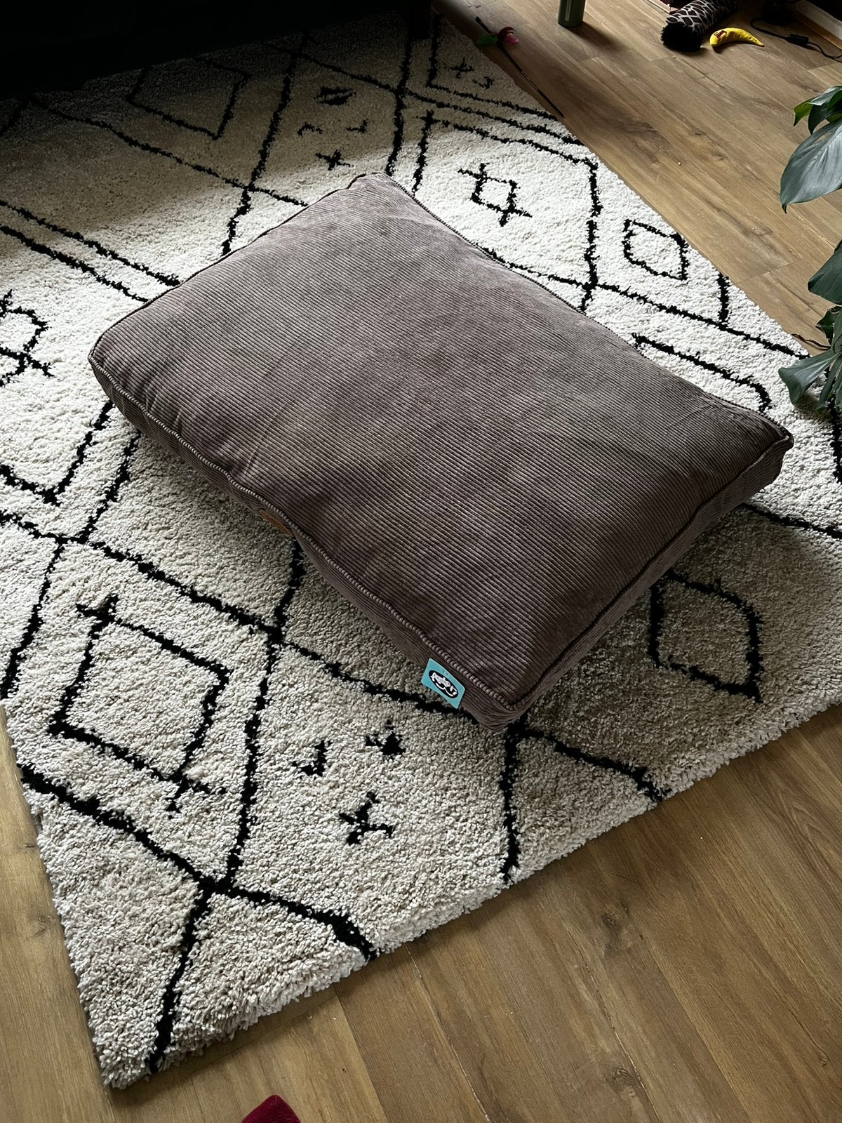Adori hondenkussen - nieuw ongebruikt, Ophalen, Zo goed als nieuw