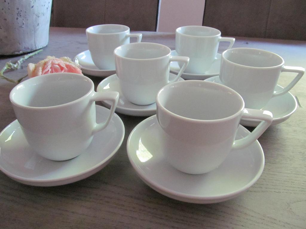 6 Rosenthal Bianchi Kop en Schotels, Huis en Inrichting, Keuken | Servies, Ophalen of Verzenden, Zo goed als nieuw, Keramiek, Kop(pen) en/of Schotel(s)