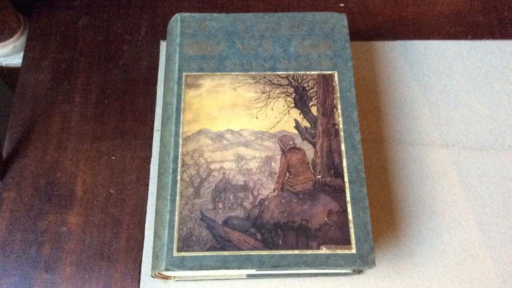 De ijzeren wil - Ellen Glasgow - Anton  Pieck, Ophalen of Verzenden, Ellen Glasgow