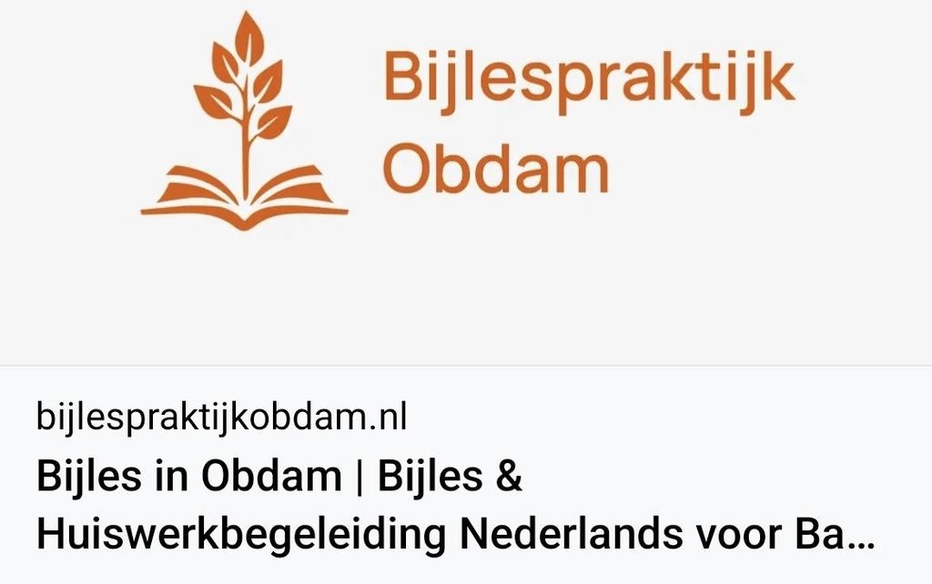 Bijles Nederlands door ervaren docent, Privéles, Bijles