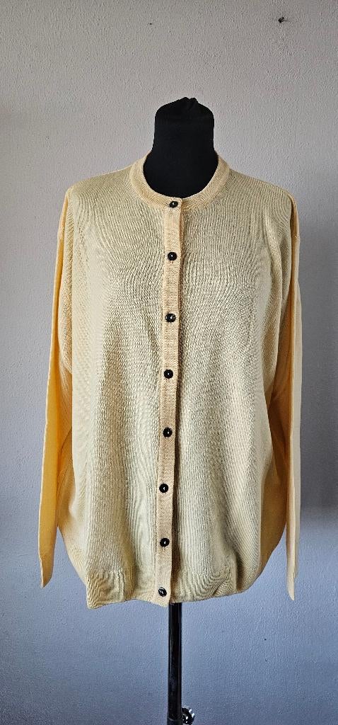 gele wollen vest van Peter hahn maat xl (1425), Ophalen of Verzenden, Zo goed als nieuw, Geel, Trui of Vest