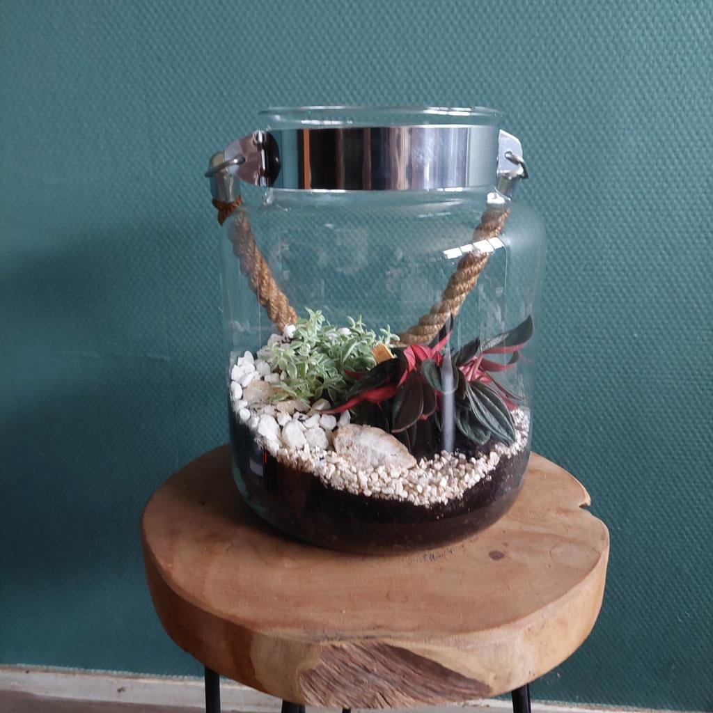 Leuke vaas met plantjes !!, Ophalen, Halfschaduw, Minder dan 100 cm