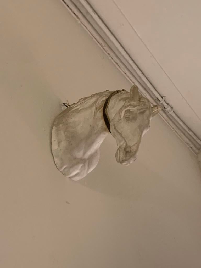 Paardenhoofd Wanddecoratie, Ophalen
