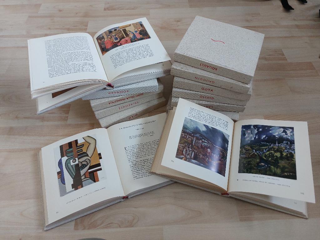 kunstboeken Skira jaren 60, Ophalen of Verzenden, Gelezen, Schilder- en Tekenkunst