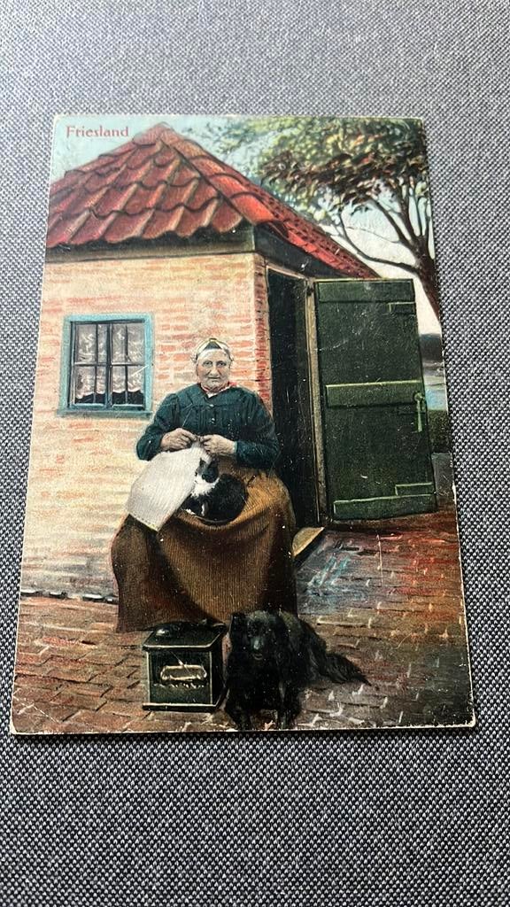Friese dame met Hond en Poes serie Deyhle’s, Ophalen of Verzenden, Voor 1920, Gelopen, Overige thema's