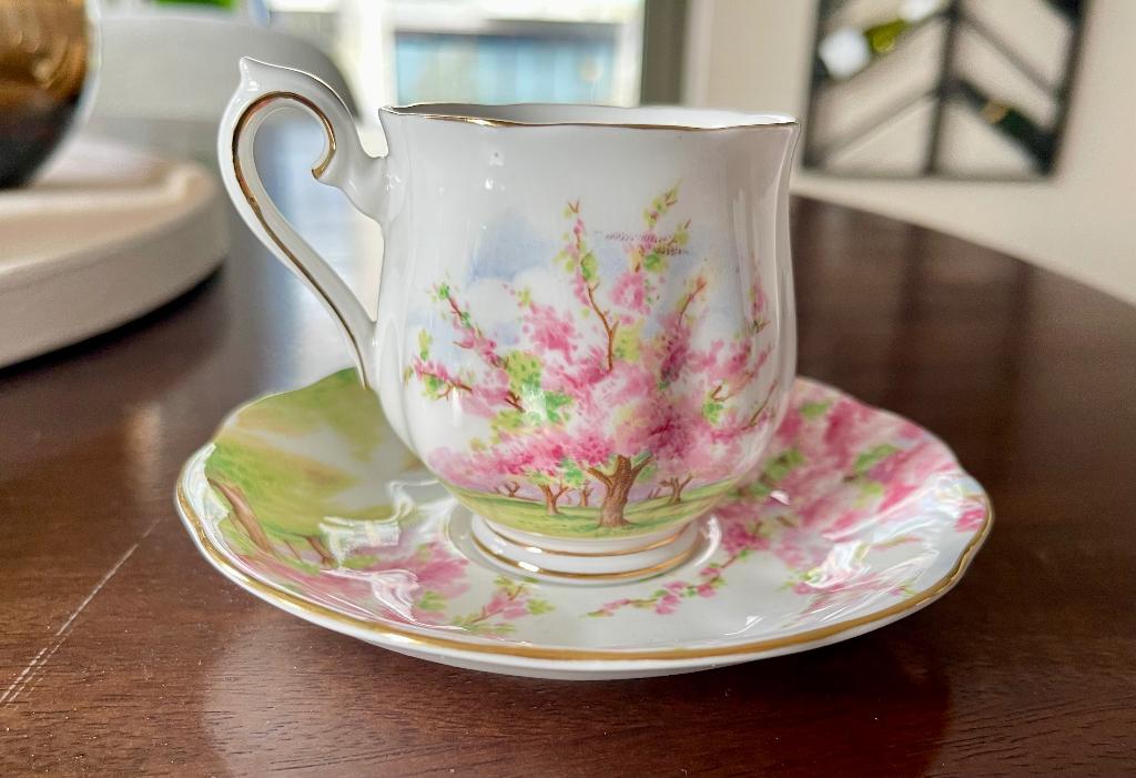 Royal Albert Blossom Time kop en schotel, Ophalen