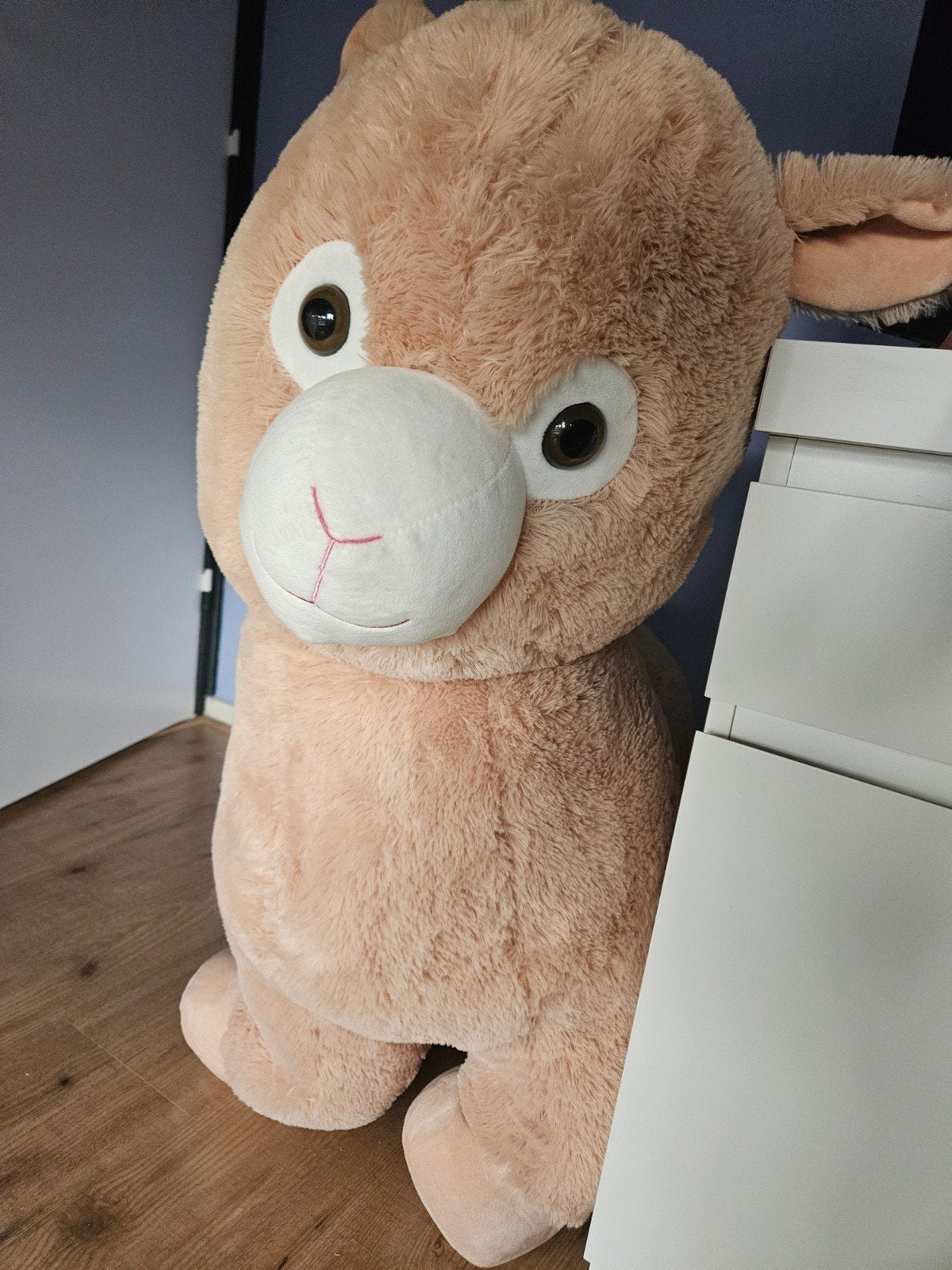 Alpaca knuffel, Ophalen, Overige typen, Zo goed als nieuw, Beige